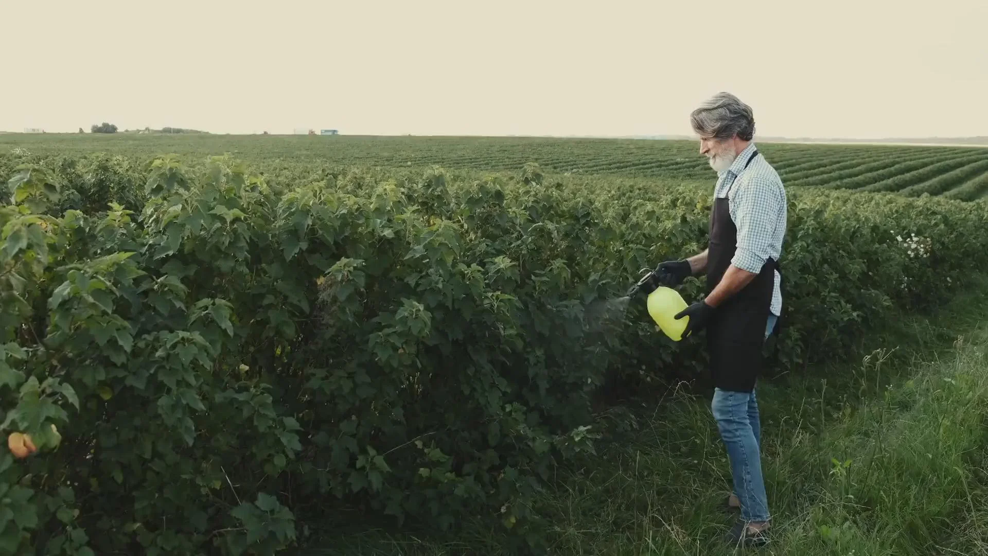 Edc96ef0af3c2dda488875b1f6631cb0